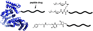 Graphical Abstract