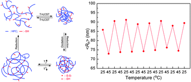 Graphical abstract: Dual-stimuli sensitive nanogels fabricated by self-association of thiolated hydroxypropyl cellulose