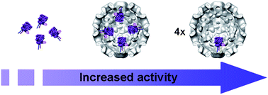 Graphical abstract: Catalytic capsids: the art of confinement