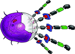 Graphical abstract: Mechanised materials