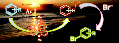 Graphical abstract: Selective photocatalytic aerobic bromination with hydrogen bromide via an electron-transfer state of 9-mesityl-10-methylacridinium ion
