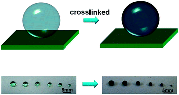 Graphical abstract: Bioinspired methodology to fabricate hydrogel spheres for multi-applications using superhydrophobic substrates