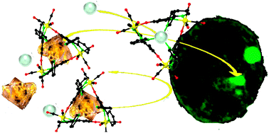 Graphical abstract: A ‘Sleeping Trojan Horse’ which transports metal ions into cells, localises in nucleoli, and has potential for bimodal fluorescence/PET imaging