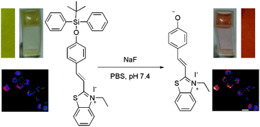 Graphical abstract: A highly selective colorimetric and ratiometric fluorescent chemodosimeter for imaging fluoride ions in living cells