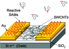 Graphical abstract: Chemical functionalization of electrodes for detection of gaseous nerve agents with carbon nanotube field-effect transistors