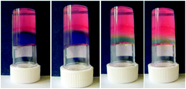 Graphical abstract: Salt-induced hydrogelation of functionalised-dipeptides at high pH