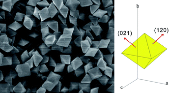 Scanning electron microscope images of the octahedral m-BiVO4 crystals prepared with SDBS (left), and schematic illustration of the crystal orientation of m-BiVO4 octahedron with specific facets (right)