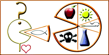 Graphical abstract: Hair analysis as a biomonitor for toxicology, disease and health status