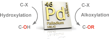 Graphical abstract: Palladium-catalysed hydroxylation and alkoxylation