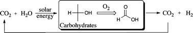 Graphical abstract: Selective catalytic conversion of biobased carbohydrates to formic acid using molecular oxygen