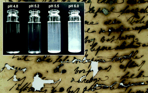 Combining XANES, ICP-AES, and SEM/EDS for the study of phytate chelating treatments used on iron gall ink damaged manuscripts