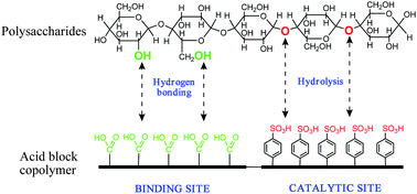 Sulfonated copolymers for the hydrolysis of polysaccharides