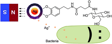 Nanoparticles for pathogen removal