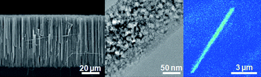 Graphical abstract: Porous silicon nanowires