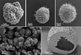 SEM images of materials