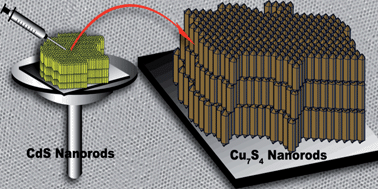 Image of CdS nanorods and Cu7S4 nanorods