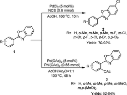 Graphical abstract: Chlorination and ortho-acetoxylation of 2-arylbenzoxazoles