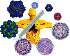 Graphical abstract: Altering the landscape of viruses and bionanoparticles