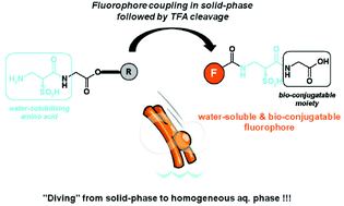 Graphical abstract: N-Fmoc-α-sulfo-β-alanine: a versatile building block for the water solubilisation of chromophores and fluorophores by solid-phase strategy