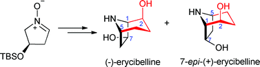 Graphical abstract: A concise stereoselective synthesis of (−)-erycibelline