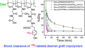 Graphical abstract: Improving the blood clearance time of 125I labeled Dex-g-PMAGGCONHTyr by copolymerization