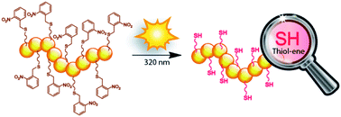 Graphical abstract: Ambient temperature polymer modification by in situ phototriggered deprotection and thiol–ene chemistry