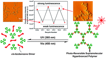 Graphical abstract: Photo-reversible supramolecular hyperbranched polymer based on host–guest interactions