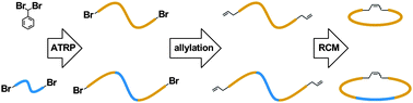 Graphical abstract: ATRP–RCM polymer cyclization: synthesis of amphiphilic cyclic polystyrene-b-poly(ethylene oxide) copolymers