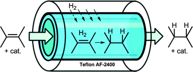 Graphical abstract: Hydrogenation in flow: Homogeneous and heterogeneous catalysis using Teflon AF-2400 to effect gas–liquid contact at elevated pressure
