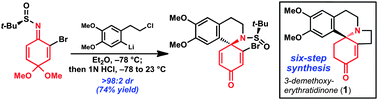 Graphical abstract: Benzoquinone-derived sulfinyl imines as versatile intermediates for alkaloid synthesis: Total synthesis of (–)-3-demethoxyerythratidinone