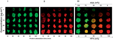 Graphical abstract: High-throughput evaluation of interactions between biomaterials, proteins and cells using patterned superhydrophobic substrates