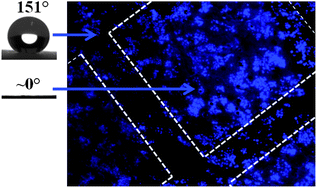 Graphical abstract: Chemical modification of bioinspired superhydrophobic polystyrene surfaces to control cell attachment/proliferation