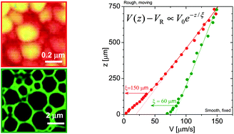 Hot paper: Lyophilised protein dynamics – Soft Matter Blog