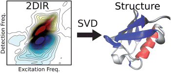 Coherent two-dimensional infrared spectroscopy to study protein secondary structure