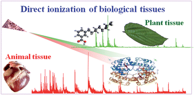Direct ionization of biological tissue for mass spectrometric analysis