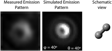 Characterizing single molecule orientations of six BODIPY probes doped into monolayers of DPPC