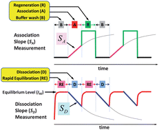 Fast measurement of binding kinetics with dual slope SPR microchips