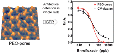 Nanopatterned submicron pores as a shield for nonspecific binding in surface plasmon resonance-based sensing 