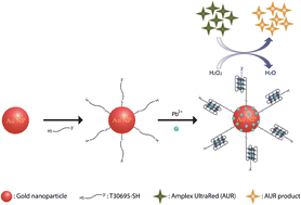 Peroxidase mimicking DNA–gold nanoparticles for fluorescence detection of the lead ions in blood