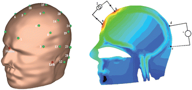 An Electrical Impedance Tomography scan of a human head