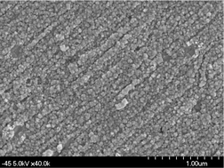 Surface-enhanced Raman scattering-active gold nanoparticles modified with a monolayer of silver film