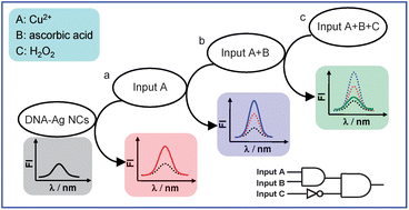 Fenton’s reagent-tuned DNA-templated fluorescent silver nanoclusters as a versatile fluorescence probe and logic device 