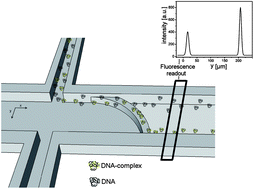 micro-nanofluidic device