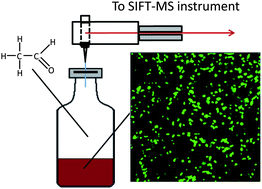 Quantification by SIFT-MS of acetaldehyde released by lung cells in a 3D model