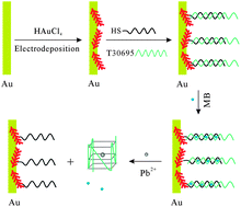 Electrochemical Sensing Using Target-Induced Strand Release