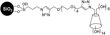 Phosphopeptide enrichment and fractionation by using Click OEG-CD matrix 