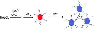 Colorimetric detection of Cr3+ using tripolyphosphate modified gold nanoparticles in aqueous solutions 