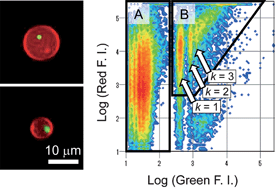 Statistical analysis of discrete encapsulation of nanomaterials in colloidal capsules