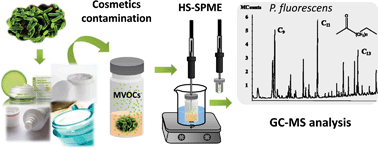 A novel outlook on detecting microbial contamination in cosmetic products: analysis of biomarker volatile compounds by solid-phase microextraction gas chromatography-mass spectrometry