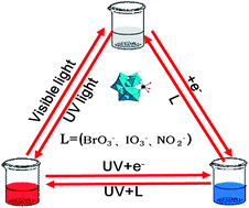 Detection of nitrite, iodate and bromate